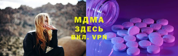 СК Алексин