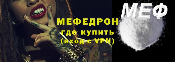 СК Алексин
