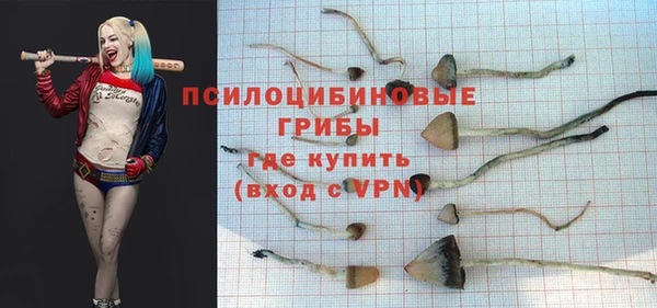 СК Алексин
