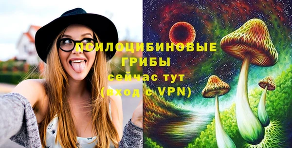 СК Рославль